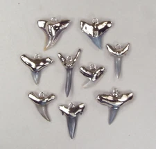Bulk Lot of 10 Fossil Shark Tooth Pendants with Electroformed Nickel Root