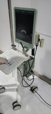 BK MEDICAL Type 1202 Ultrasound With Convex Vaginal 2Probe