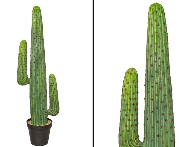 Mexikanischer Kaktus GrüN Mit Topf Und 125Cm Von Ibizanos-image