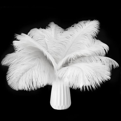 Lamar Feather 20 Pcs 10-12 Inches White Ostrich Feathers for Centerpieces, 