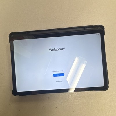 Samsung Galaxy Tab S6 Lite 64GB 10.5'' Wi-Fi + 4G Gray Tablet SM-X200 Used