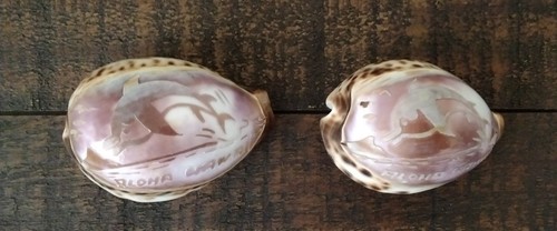 2 "Aloha Hawaii" Souvenir Hand Carved Ocean Cowrie Tiger Shells Of Dolphins