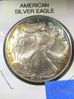 2004 American Silver Eagle - Toned - Orange, Purple, Blue - CHECK IT OUT