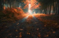 Landscape fall road leaves trees Custom Gaming Mat Desk