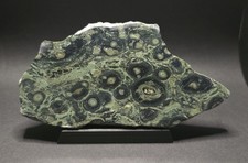 Kambaba Jasper Lapidary Slab