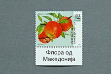 Macedonien (Nord-Macedonien) 12 Denar Sondermarke 2005 postfrisch NEU