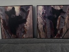 Collin Bogle Curious Cub-Pair Of Black Bear Cubs 11.5x11.5   See Frame Damage