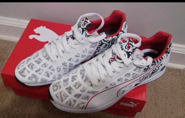 puma bmw ms evospeed