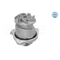 Wasserpumpe MotorküHlung FüR VW Phaeton 3D 3.2 02 Bis 08 Meyle Original AYT
