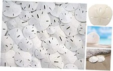 Small Sand Dollars 1"-1.5" Set of 50, Wedding Seashell Craft - Hand Picked and