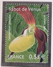 France Timbre N° 3764 Orchidée / NEUF**/2005