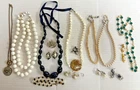 Vtg Jewelry Fashion Costume Jewelry Lot Necklace, Bracelets, Pin, & Earrings