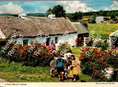 VINTAGE IRELAND FARM HOUSE CHILDREN DONKEY JOHN HINDE THATCH COTTAGE POSTCARD