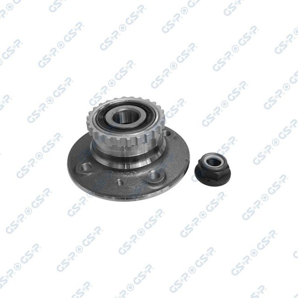 GSP Radlagersatz 9225026K FüR Renault-image