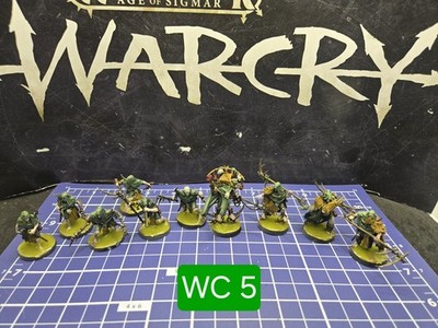 Warhammer Warcry Rotmire Creed x10 Pro Painted Age of Sigmar Maggotkin Of Nurgle