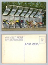 St. Petersburg, FL-Florida, Derby Lane Greyhound Race Gate Vintage Postcard