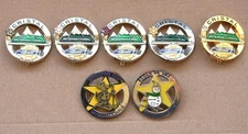 Joli lot de 7 insignes broches médailles de l' école de ski international, ESI