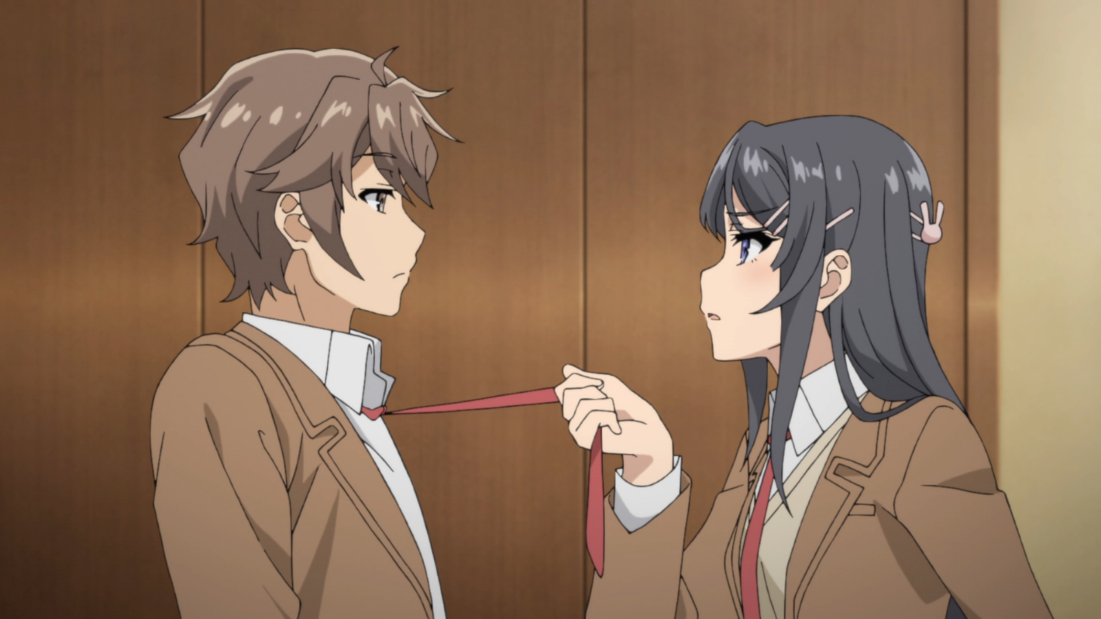 Anime DVD Seishun Buta Yarou wa Bunny Girl Senpai no Yume wo Minai