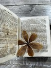 Bild 9 von 10