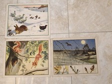 Vintage Enid Blyton Nature Plates Folio 49/60 School Prints Eileen Soper 1949