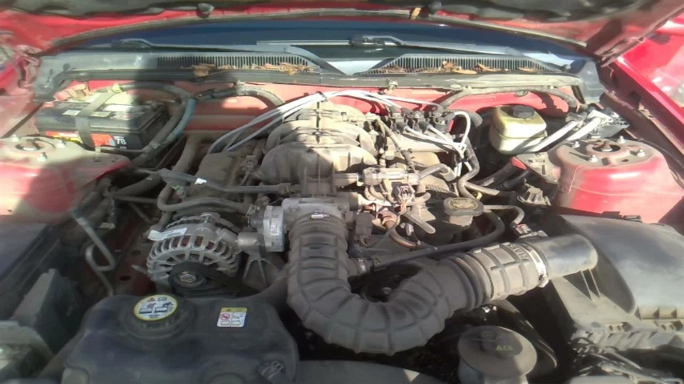 MUSTANG 2006 Door Handle Interior 31280035 Foto 3 de 4