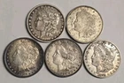 5 Morgan Silver Dollars - Lot SKu03
