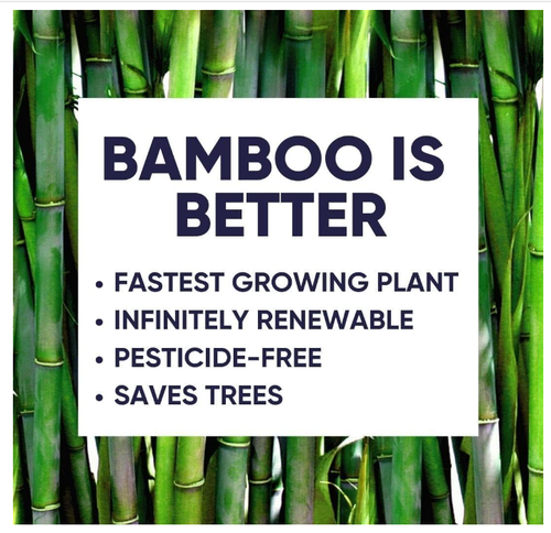Bamboo Toilet Paper - 48 Rolls Of Organic Toilet Paper, 300 Sheets Per Roll - Picture 6 of 6