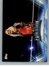 2019 Topps WWE Women's Division Wrestling Insert Singles (Pick Your Cards)