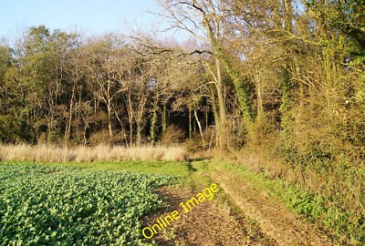 Photo 12x8 Corner of Patching Copse The local farmer had ploughed up the f c2014