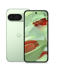 Google Pixel 9 - 256 GB - Wintergreen (Unlocked) for sale online