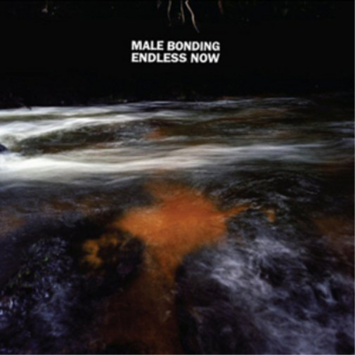 Альбом Male Bonding Endless Now (CD)