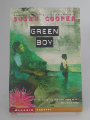 DVD greenboy 沢田研二 Concert 2005 DVD