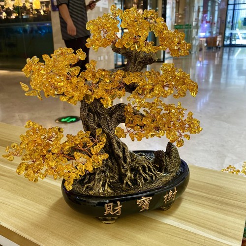 4.05LB Natural citrine tree quartz based home decoration spiritual energy - 第 1/13 張圖片