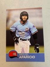 Miguel Aparicio Card 2019 Hickory Crawdads Team Card
