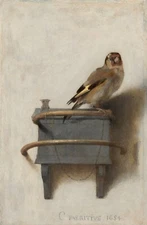 The Goldfinch by Carel Fabritius, Giclee Canvas Print, in various sizes