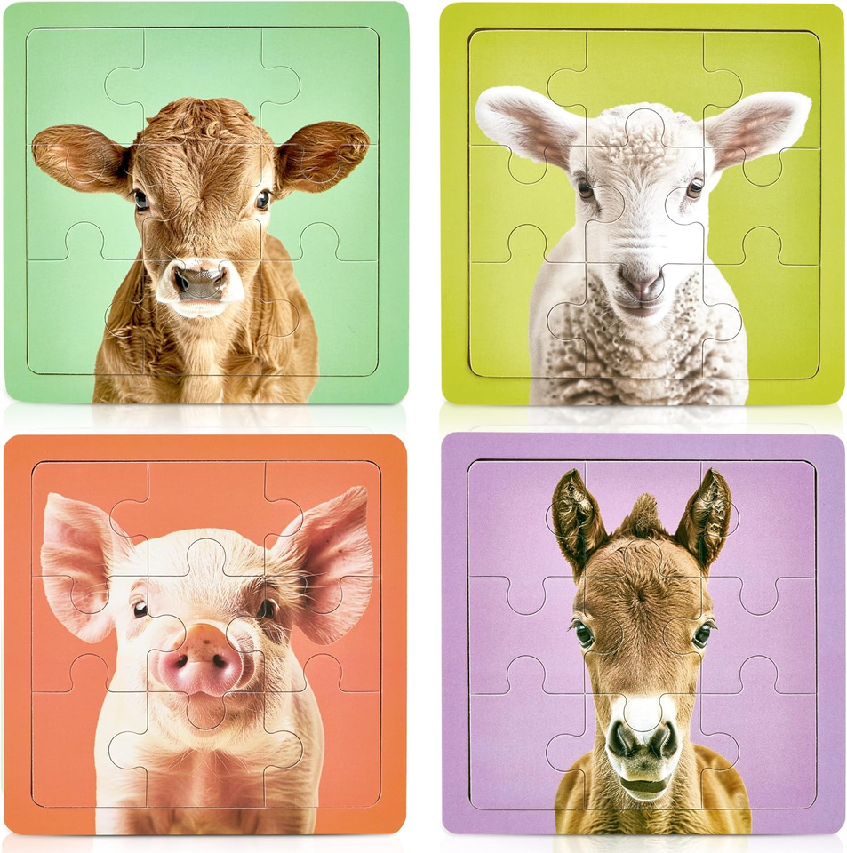 Fun Wooden Toddler Puzzle Set of 4 Colorful Puzzles for Kids Aged 24