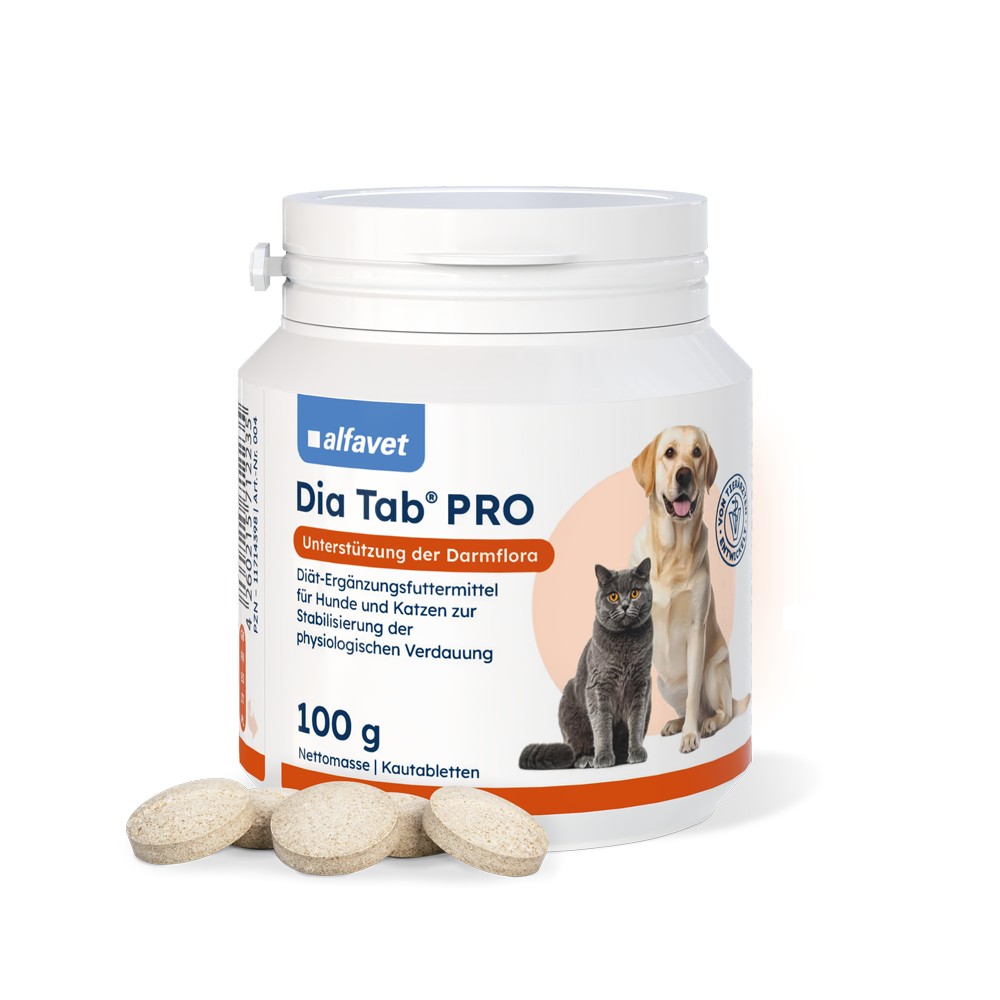 Dia Tab Pro Kautabletten 100g für Hund Katze bei Durchfall