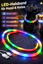 LED-Leuchthalsband für Hund & Katze – 3 Lichtmodi, USB-aufladbar, Silikon, bunt,