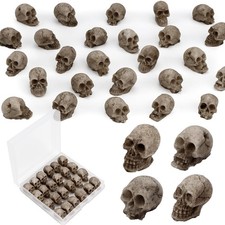 24 PCS Mini Skull Heads, Miniature Skeleton Heads Figurines, Tiny Resin Skull...