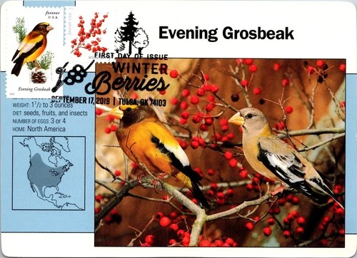 Dr Jim Stamps Maximum Card Evening Grosbeak Winterberry Forever Combo Fdc