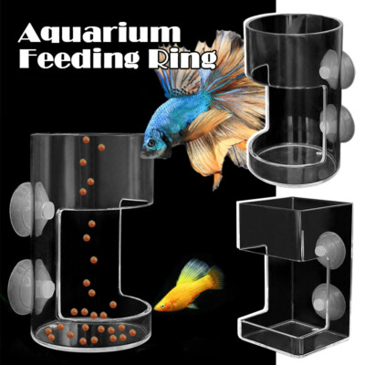fish accessories all animal food Fish Turtle Feeder Aquarium Feeding Ring Floating Food Tray Aquatic Pet  Supplies
