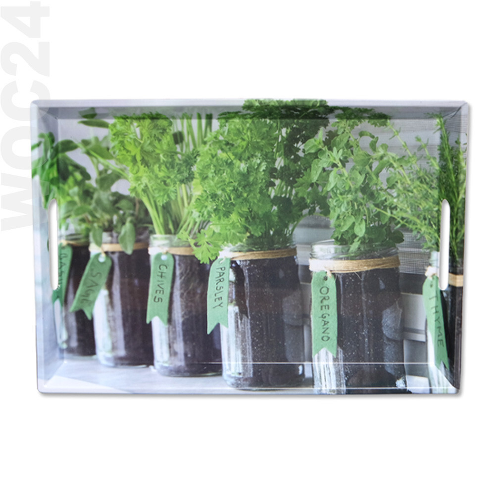 50 x 35 Kunststoff Melamin Serviertablett Frühstückstablett Tablett Kräuter Grün