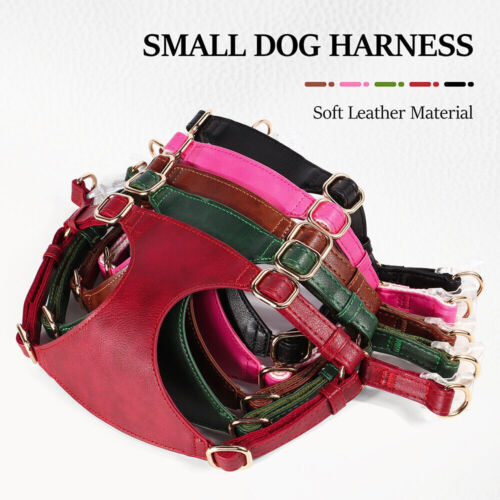 Job Lot Leatherette Dog Harnesses Lead Set for Small Dogs 61 pieces - Picture 2 of 21
