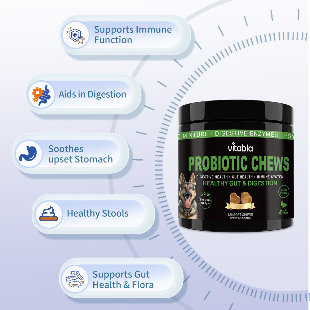 Probiotics for Dogs Supplements for dogs Gut Health, Anal Glands (120