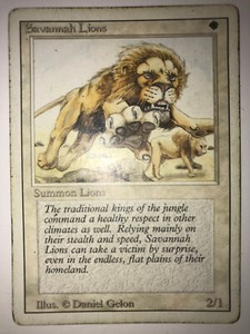 Magic The Gathering Savannah | eBay