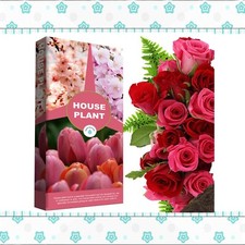 House Plant Compost 10 Litres With Added Nutrients For Healthy Leaves & Plants