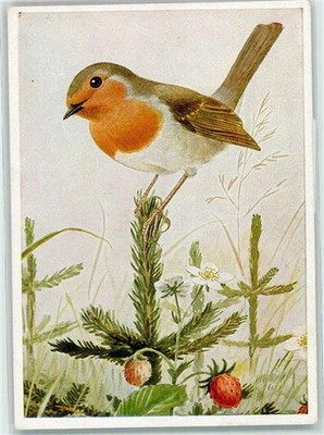 39185303 - Colorful Board by Franz Murr No. 24 (Series consists of 24 cards)