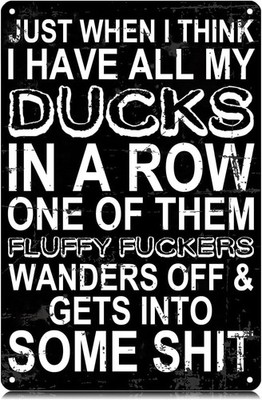 Just When I Think I Have All My Ducks in A Row Tin Metal Signs Home Décor 8x12