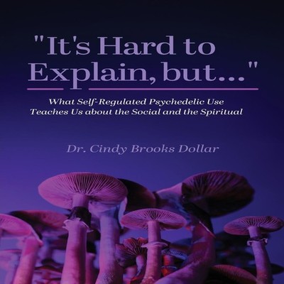 ''It's Hard to Explain but...'' What Self-Regulated Psychedelic Use