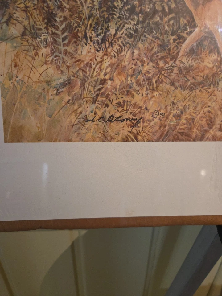 Impresión firmada por Jack Deloney 1321/1750 "Fiebre de caída" Foto 4 de 4